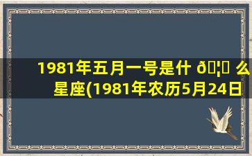 1981年五月一号是什 🦋 么星座(1981年农历5月24日是什么星座)
